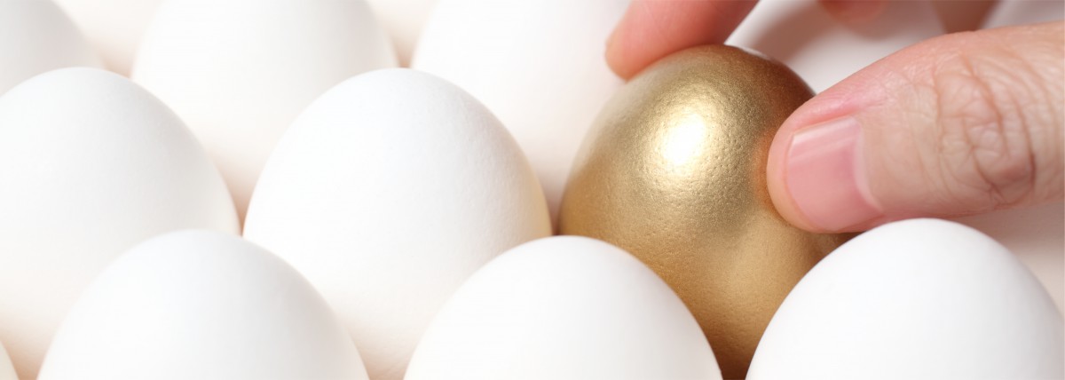 Making a better egg 1 Golden egg amongst white eggs