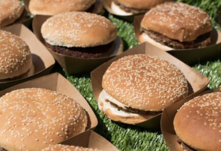 Plant-based burgers on grass