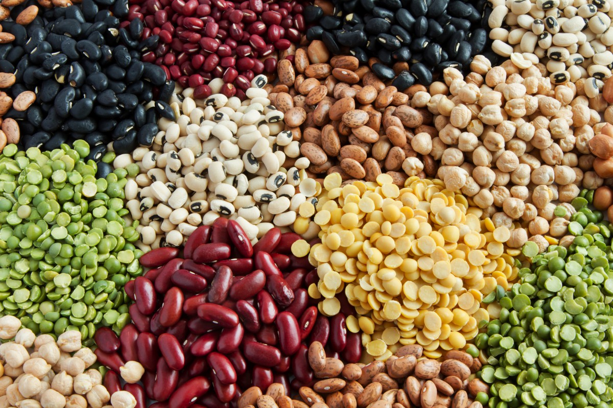 Expanding our ingredient repertoire to build the good food future 1 Assorted legumes