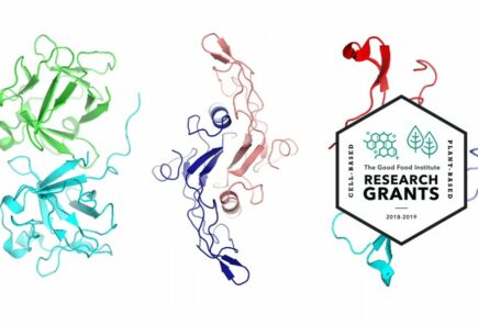 Research grants banner