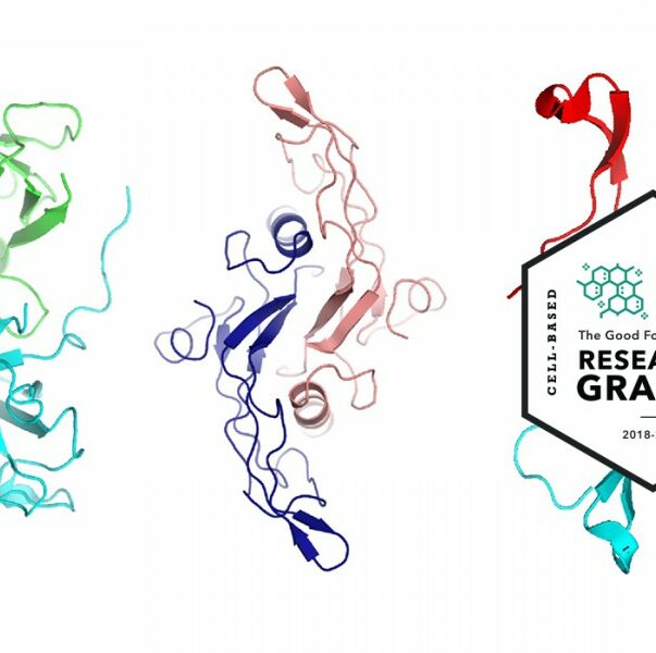 Lowering the cost of growth factors 12 Research grants banner