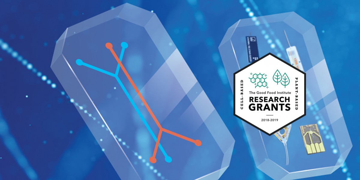 This lab-on-a-chip could lower the cost of cell-based meat 1 Realsense biosensor for cultivated meat production