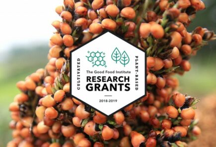 Research grants banner
