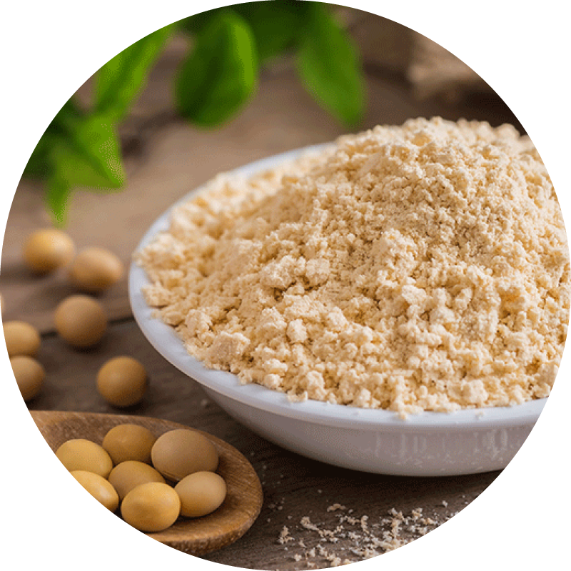 Soy flour in a bowl with a spoon holding soybeans