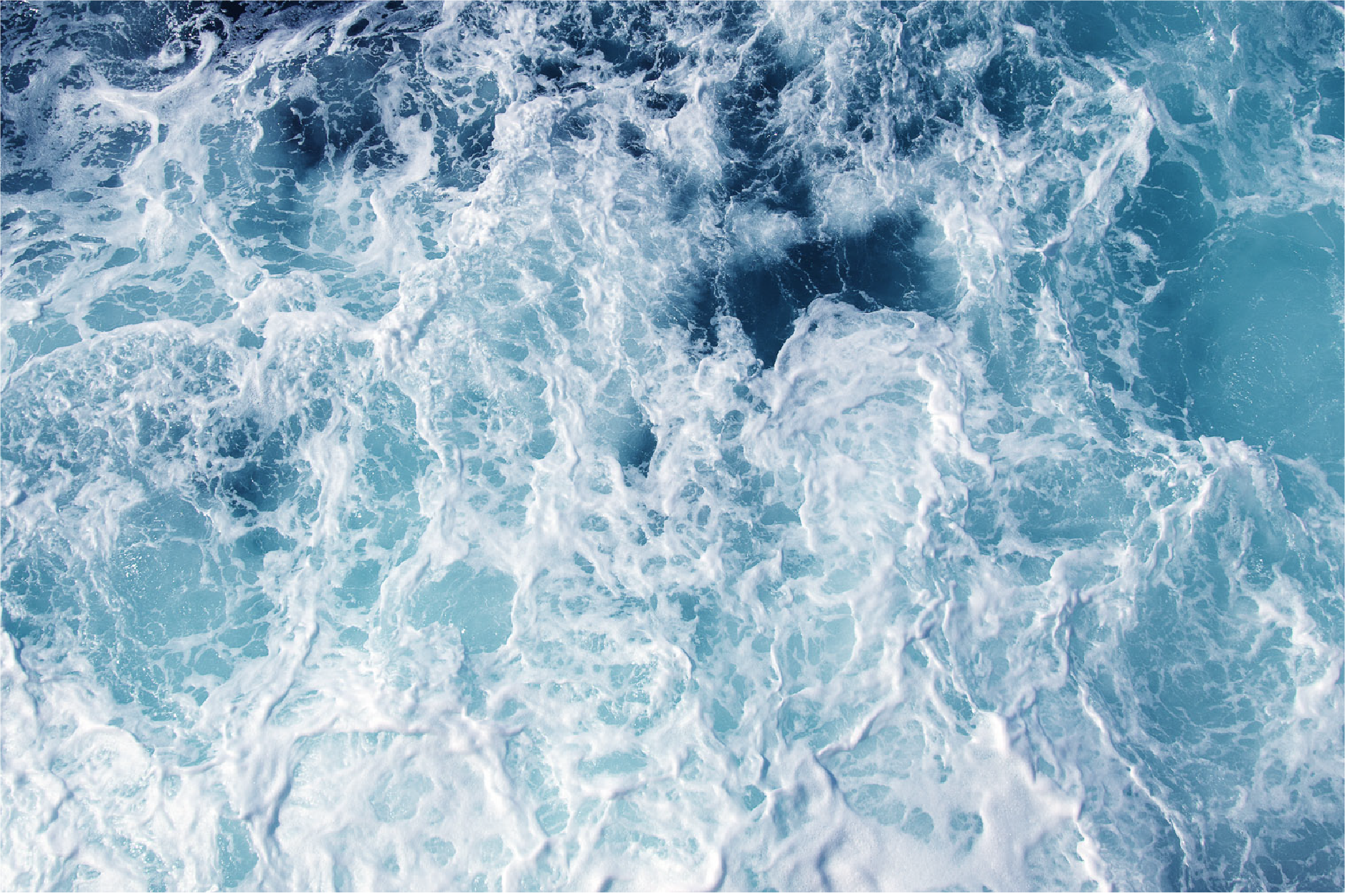 Swim: advancing the science of cultivated crustaceans 1 Top view of ocean water