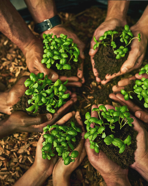 Our top 22 of 2022 7 People in a circle holding soil and seedlings in their cupped hands, top view