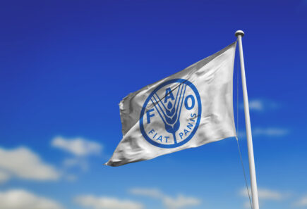 Fiat Panis flag