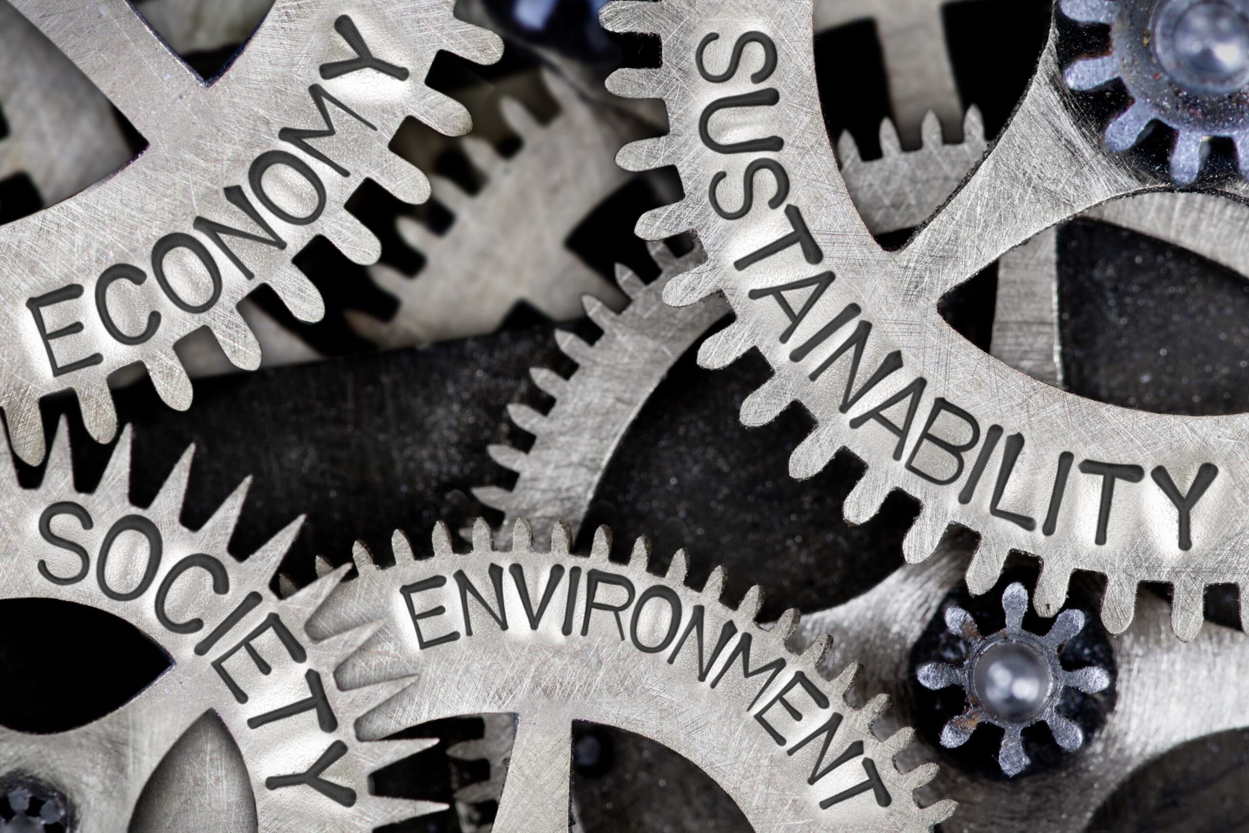 Building infrastructure for alt meat and dairy 1 Gears labeled with economy, sustainability, society, environment