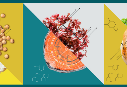 Alt protein foods from conventional proteins