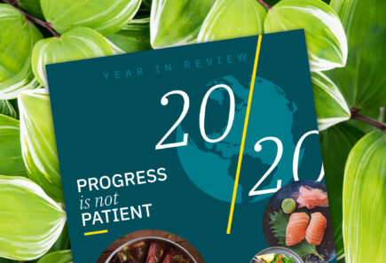 2020 year in review