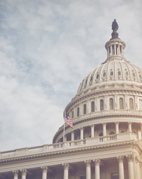 Gfi submits recommendations to usda for cultivated meat and poultry labeling 2 Us capitol in sunset