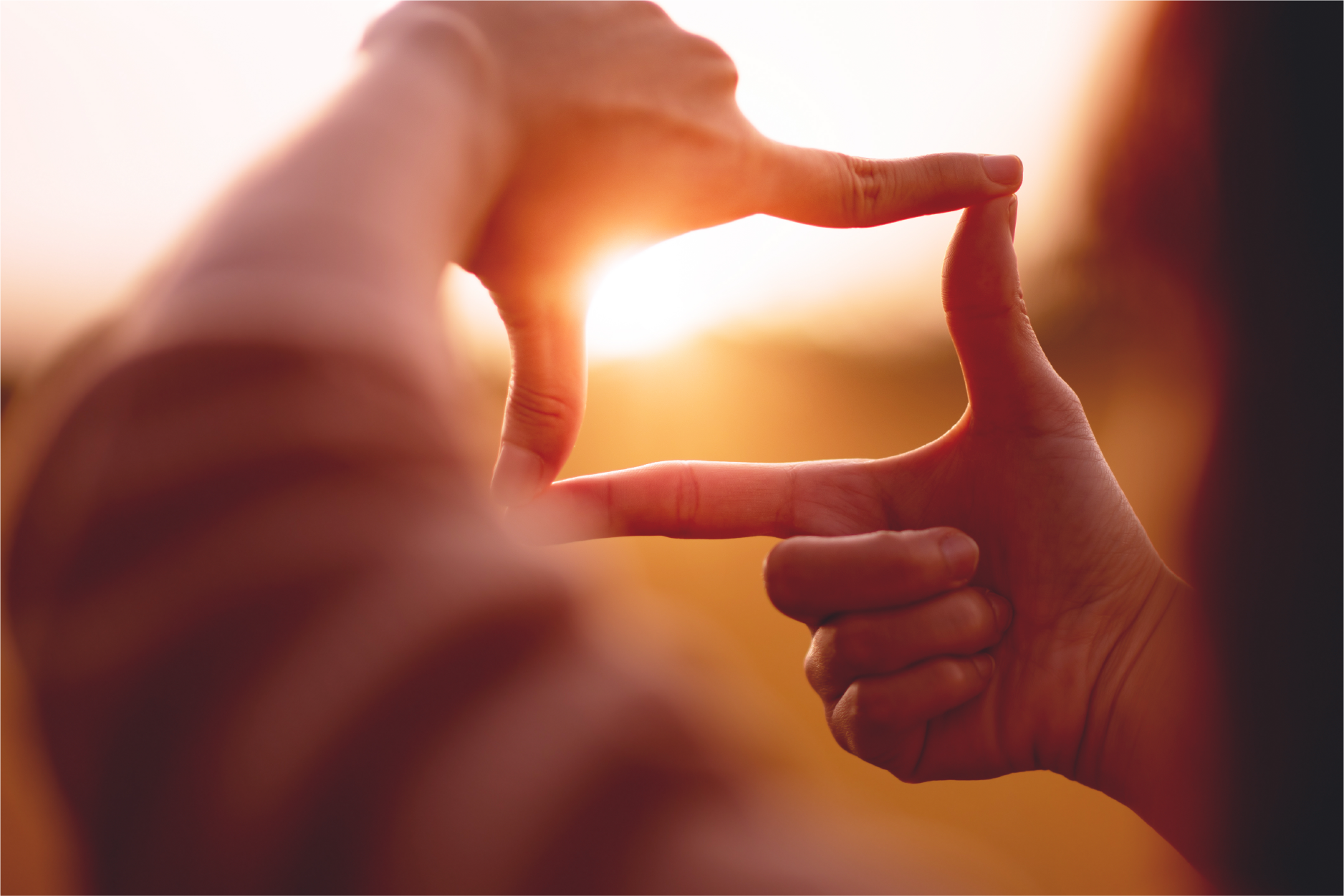 The business of alt protein: intellectual property for alternative protein companies 1 Person's fingers framing sun