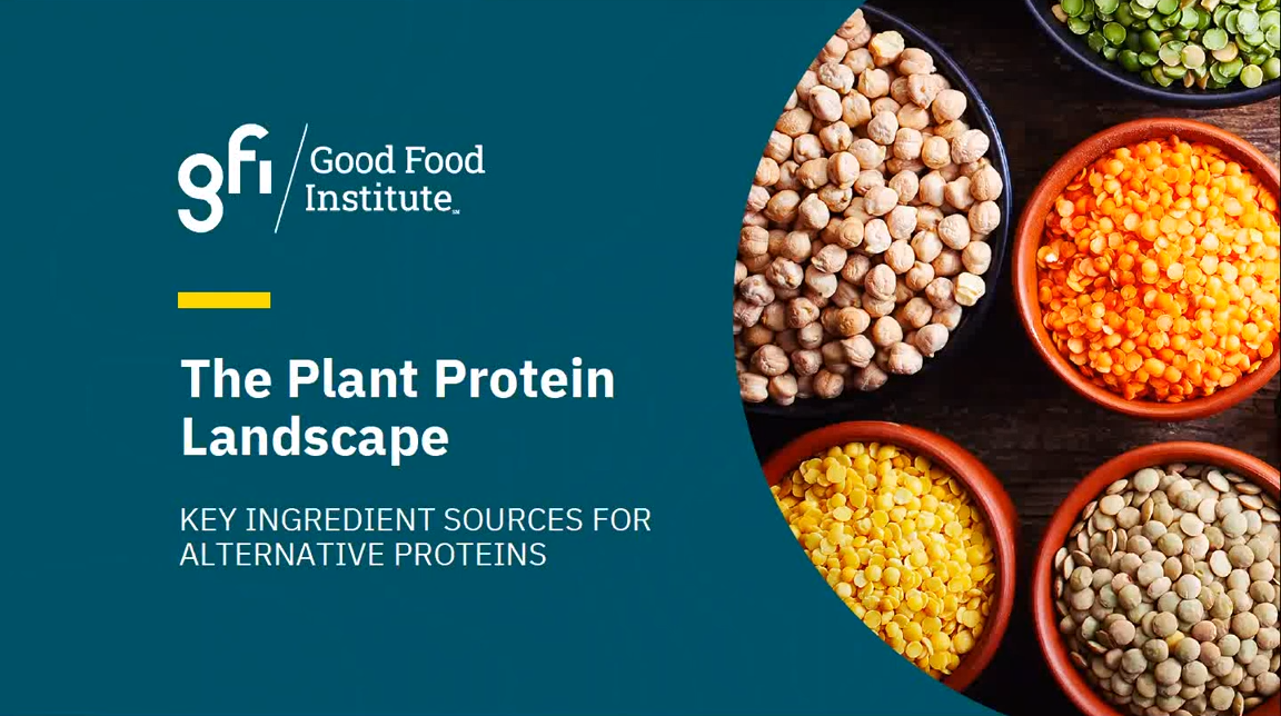 Plant protein landscape slide
