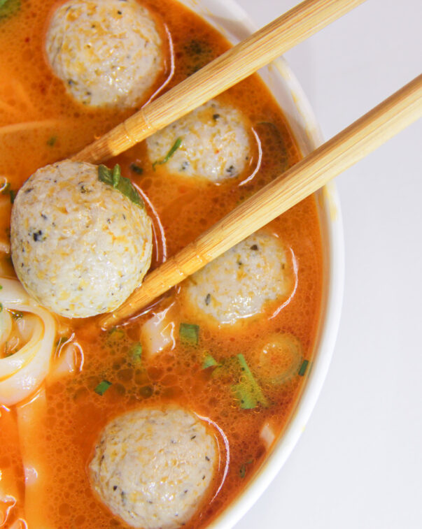 Stacking plant protein sheets 3 Cultivated meatballs in soup, courtesy of ants innovate