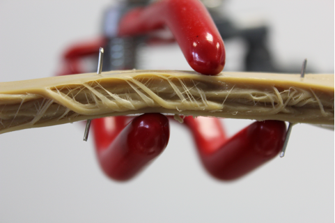 Deep dive: plant-based meat end product formulation and manufacturing 5 Figure 4 hmma product