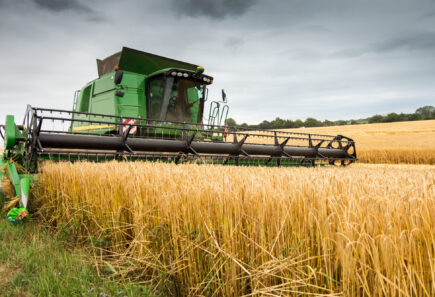 Combine harvester at work in a field of wheat