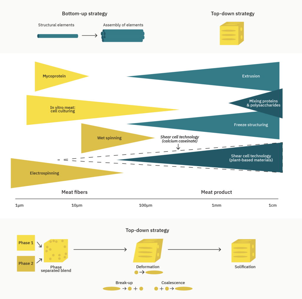 Deep dive: plant-based meat end product formulation and manufacturing 3 Sci21008 pb deep dive graphics figure2
