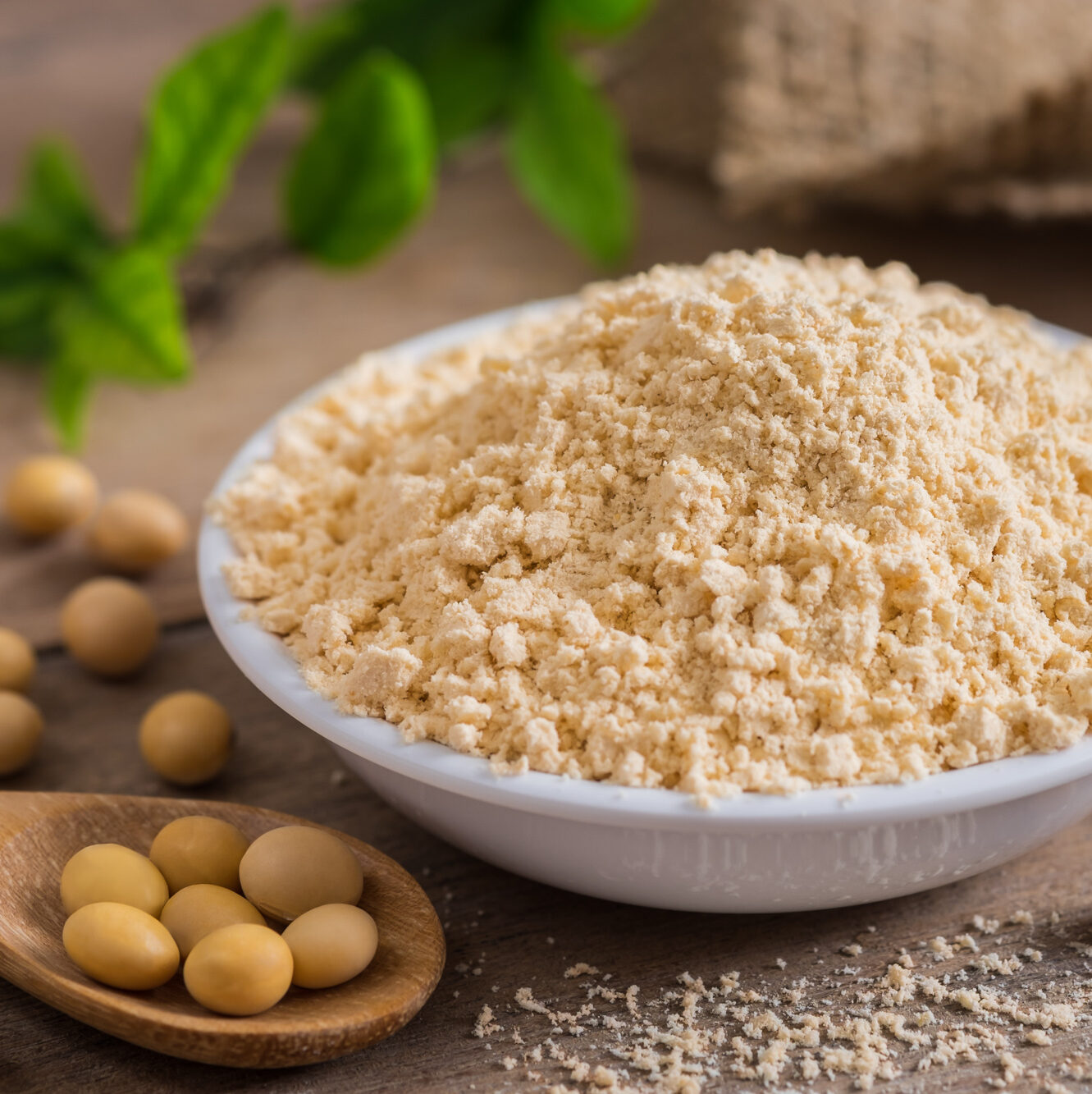 Deep dive: plant-based meat ingredient optimization 1 Soy flour in a bowl with a spoon holding soybeans