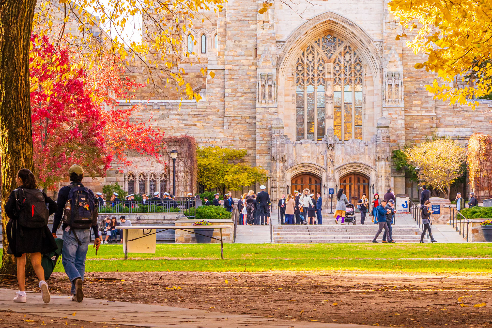 The alt protein student resource hub 1 College campus in the fall