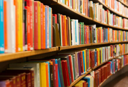 A library bookshelf