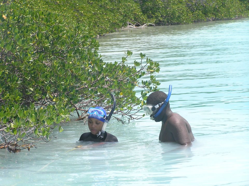 Vanessa haley-benjamin is laying the groundwork for cultivated mollusks 5 Vanessa mangrove surveys