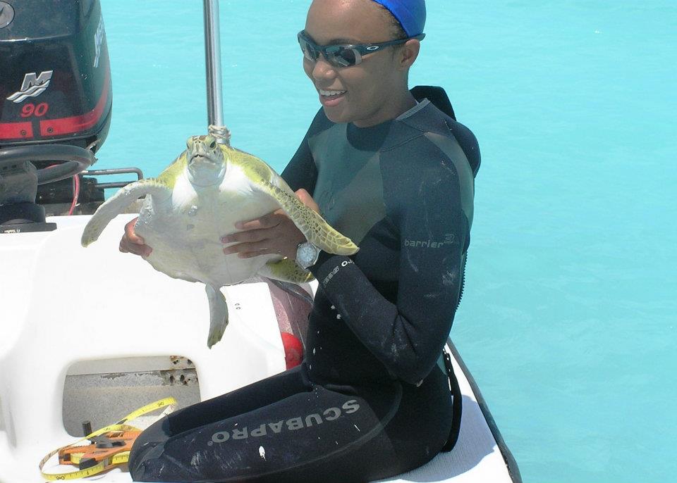 Vanessa haley-benjamin is laying the groundwork for cultivated mollusks 3 Vanessa turtle assessments