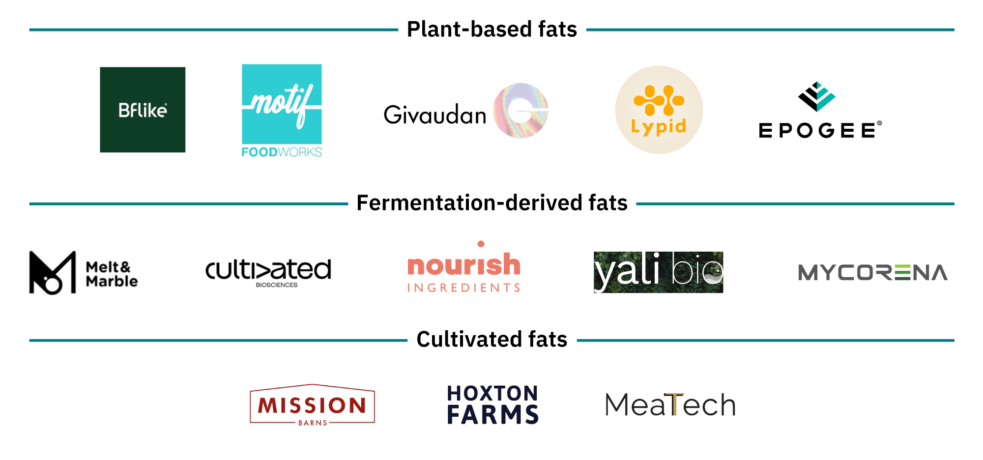 Research on animal-free fats presents un-fat-homable possibilities for meat alternatives 18 Non-exhaustive list of companies working on plant-based fats, fermentation-derived fats, and cultivated fats