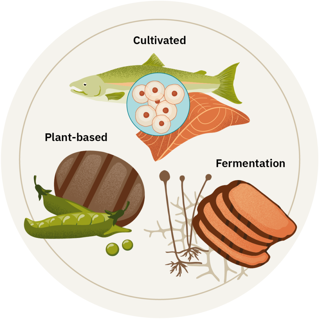 Home 4 An illustration of alternative protein production methods.