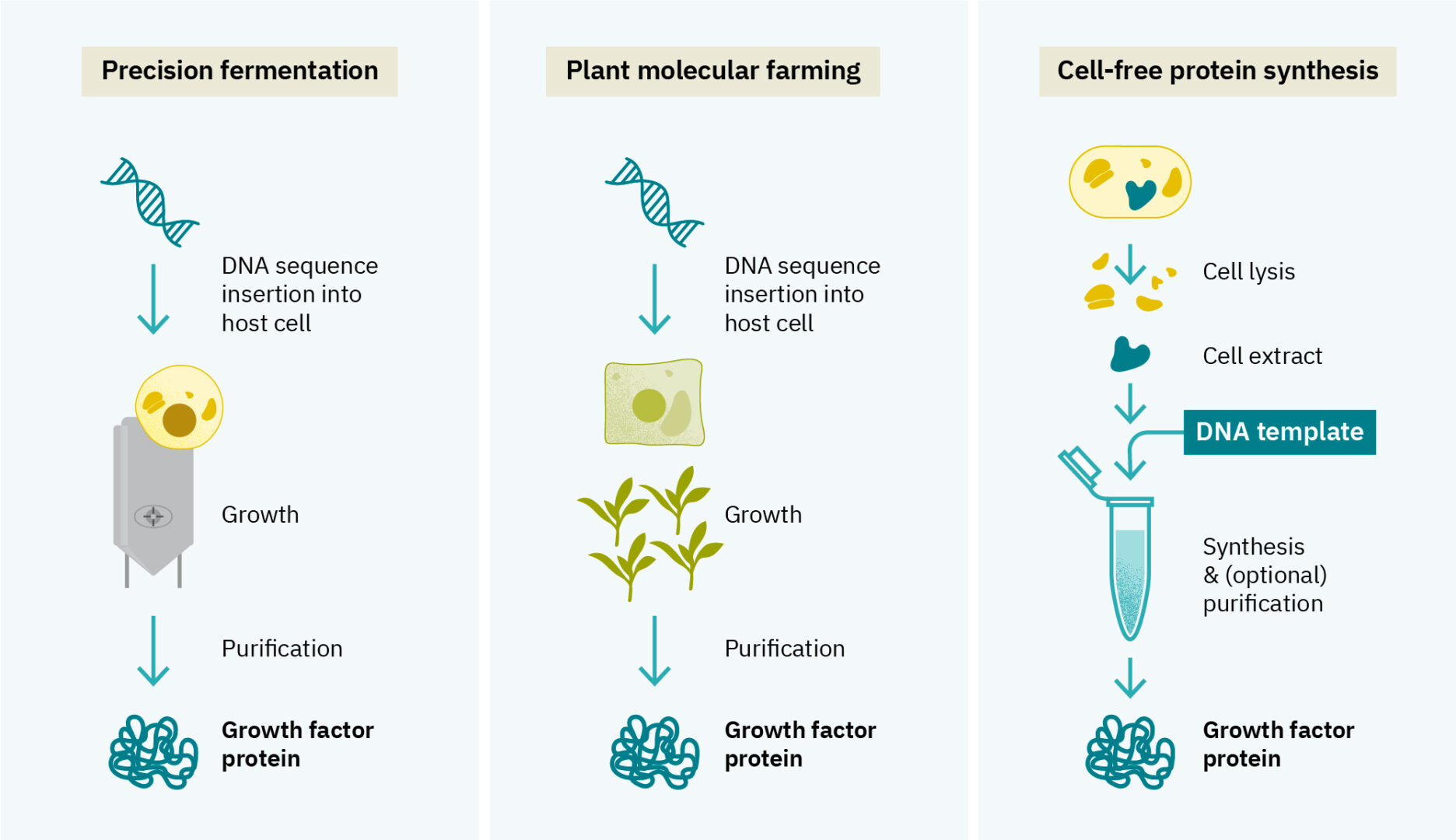 Exemplar platform technologies for protein production illustration