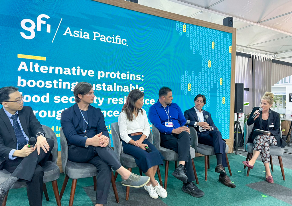 Year in review 2022 28 Gfi asia pacific managing director mirte gosker moderates a panel at cop27