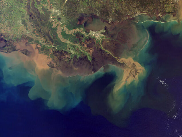 Environmental benefits of alternative proteins 16 Aerial view of mississippi river showing sediments (brown) and nutrients flowing into the gulf of mexico.