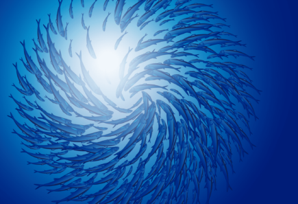 School of fish swimming in a circle towards the surface