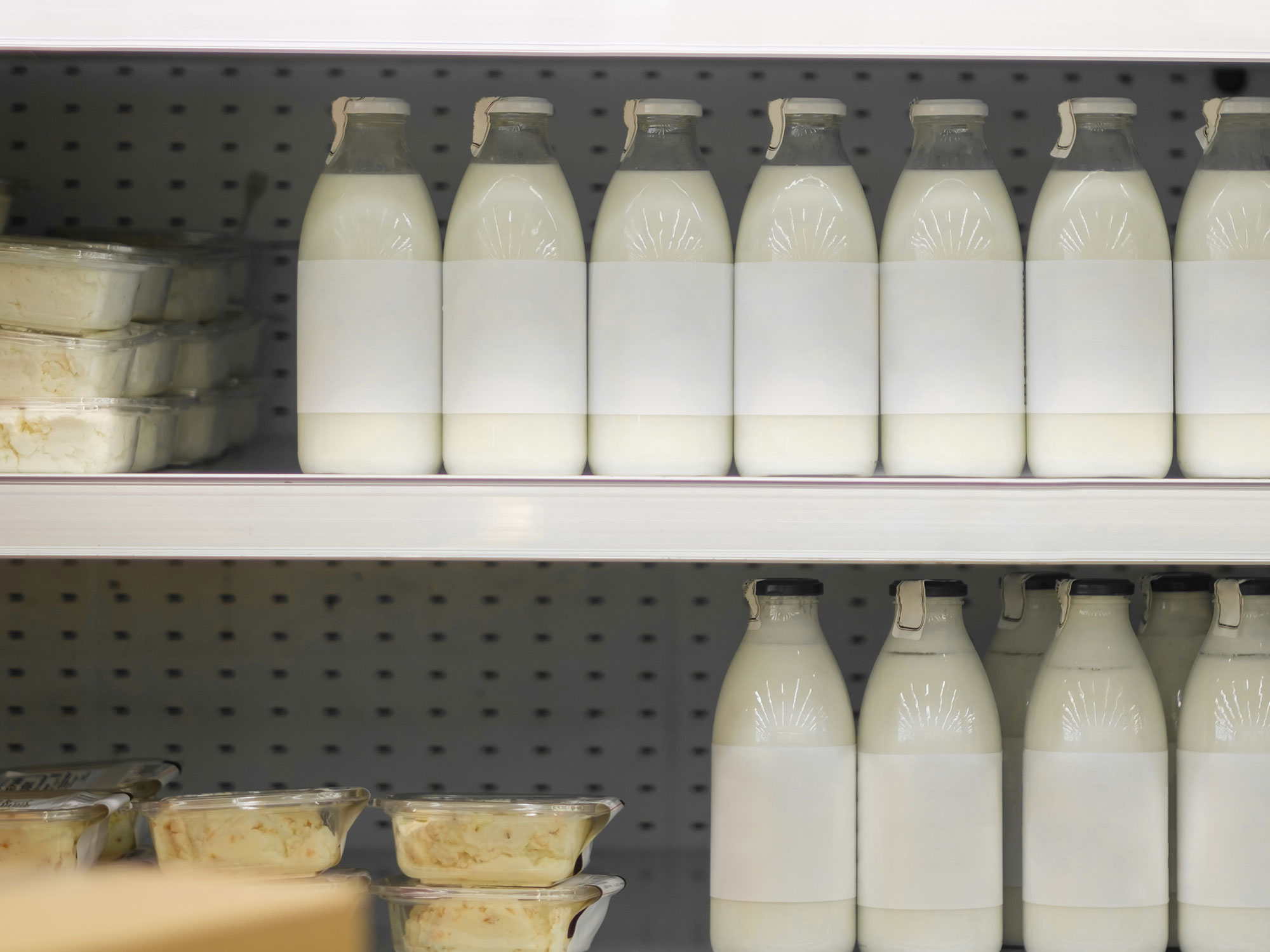 The business of alt protein: what’s in a label - standards of identity, label claims, and more 1 A shelf with plant-based milk and cheese