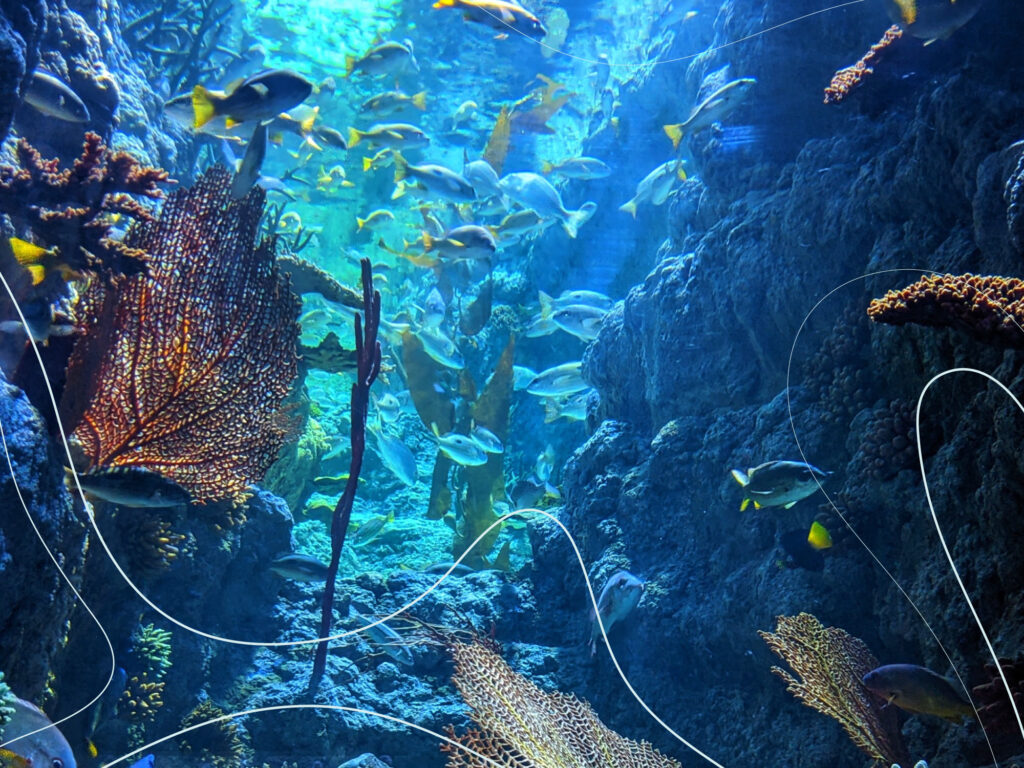 The top climate moments of this year and what they mean for alternative proteins 7 An image of deep sea fish