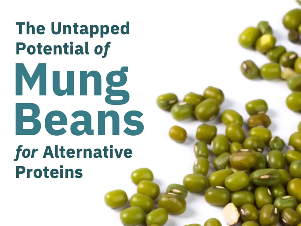 Mung beans feature