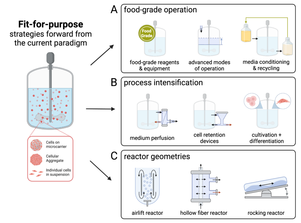 Developing scalable, fit-for-purpose bioreactor and bioprocessing technologies for cultivated meat 3 Fit-for-purpose innovation can be classified as one, food-grade operation, which includes food-grade reagents and equipment, advanced modes of operation, and media conditioning and recycling, two, process intensification, which includes medium perfusion, cell retention devices, and combined cultivation and differentiation, and three, reactor geometries, which include airlift reactors, hollow fiber reactors, and rocking reactors.