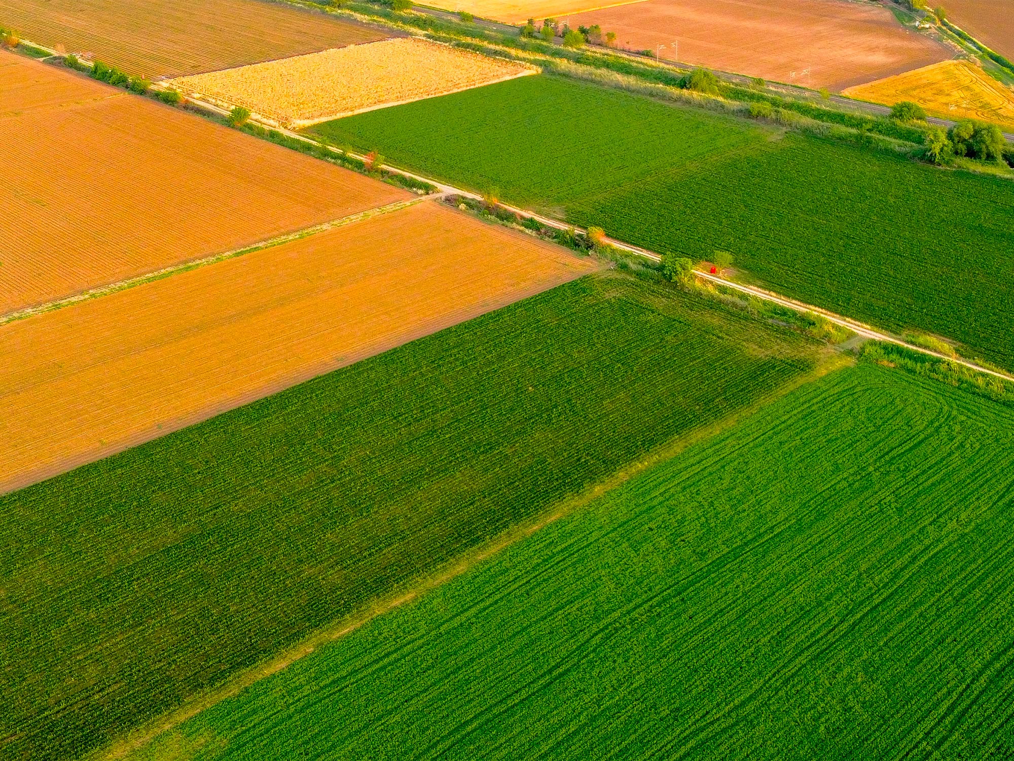 Recommendations for president trump: building an innovative agricultural bioeconomy 1 An overhead view of farmland