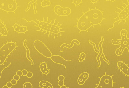 An illustrative graphic depicting microbes on a yellow background